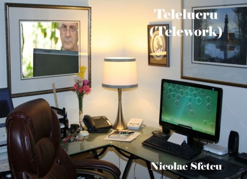 Telelucru (Telework)
