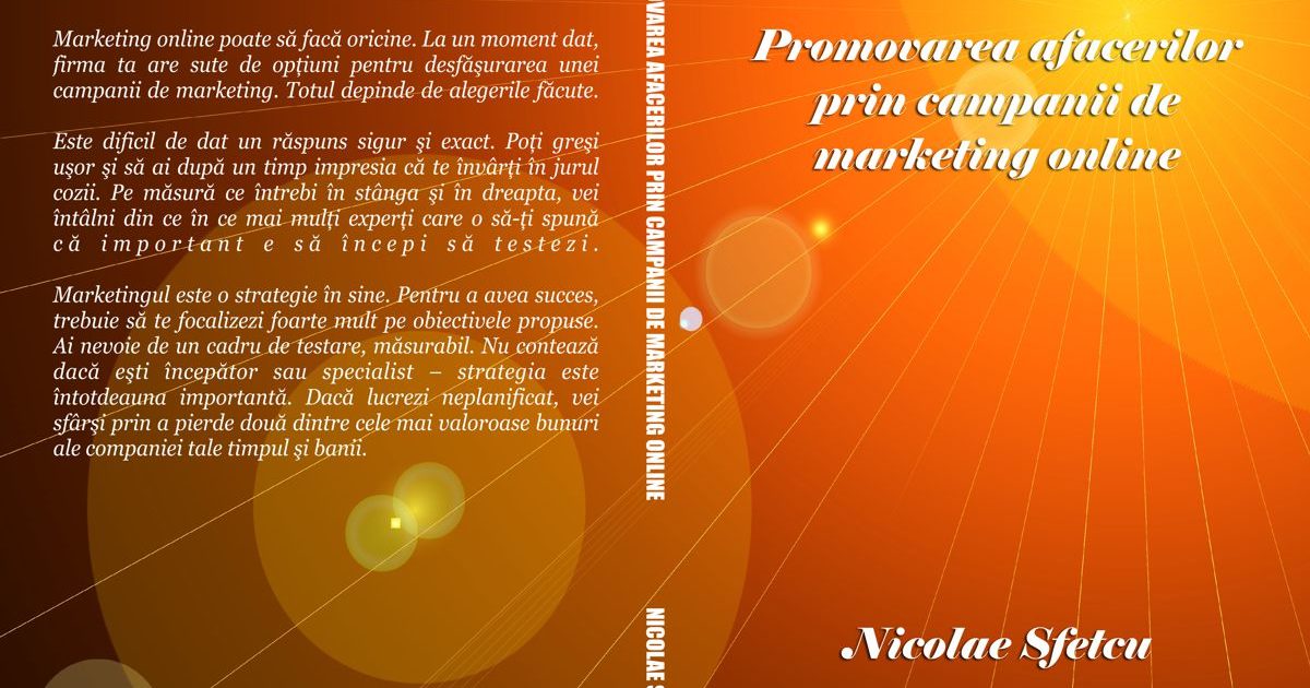 Promovarea afacerilor prin campanii de marketing online